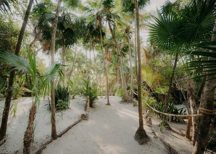 Luxury Penthouse With Private Rooftop Pool And Stunning Jungle Views Apartment Tulum